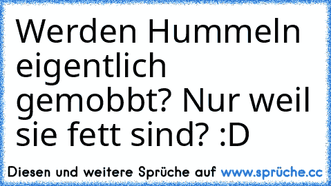 Werden Hummeln eigentlich gemobbt? Nur weil sie fett sind? :D