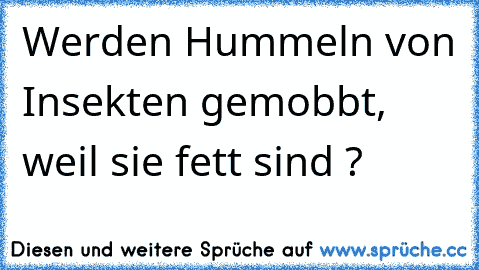 Werden Hummeln von Insekten gemobbt, weil sie fett sind ?