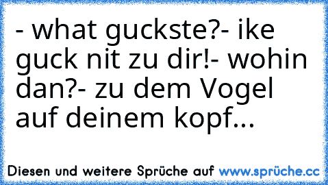 - what guckste?
- ike guck nit zu dir!
- wohin dan?
- zu dem Vogel auf deinem kopf...