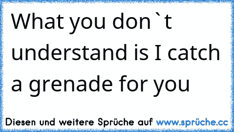 What you don`t understand is I catch a grenade for you