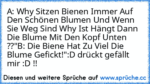 A: Why Sitzen Bienen Immer Auf Den Schönen Blumen Und Wenn Sie Weg Sind Why Ist Hängt Dann Die Blume Mit Den Kopf Unten ??"
B: Die Biene Hat Zu Viel Die Blume Gefickt!"
:D drückt gefällt mir :D !!