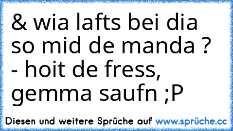 & wia lafts bei dia so mid de manda ? - hoit de fress, gemma saufn ;P