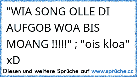 "WIA SONG OLLE DI AUFGOB WOA BIS MOANG !!!!!" ; "ois kloa" xD