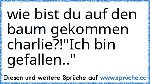 wie bist du auf den baum gekommen charlie?!
"Ich bin gefallen.."