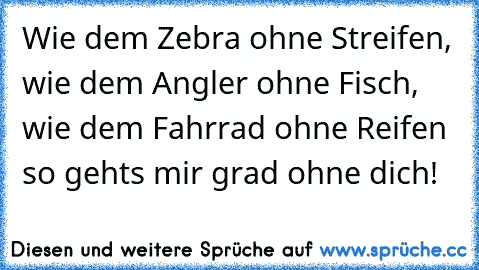 Wie dem Zebra ohne Streifen, wie dem Angler ohne Fisch, wie dem Fahrrad ohne Reifen – so geht’s mir grad ohne dich! ♥