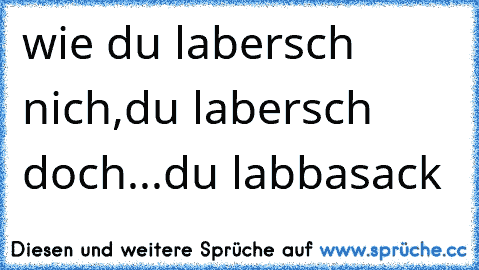 wie du labersch nich,du labersch doch...du labbasack