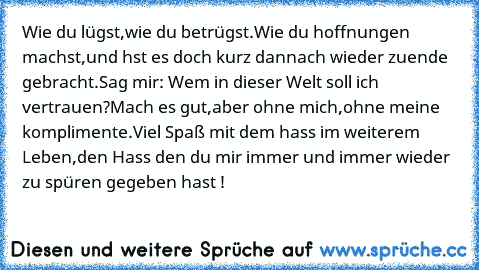 Wie du lügst,
wie du betrügst.
Wie du hoffnungen machst,
und hst es doch kurz dannach wieder zuende gebracht.
Sag mir: Wem in dieser Welt soll ich vertrauen?
Mach es gut,
aber ohne mich,
ohne meine komplimente.
Viel Spaß mit dem hass im weiterem Leben,
den Hass den du mir immer und immer wieder zu spüren gegeben hast ! 