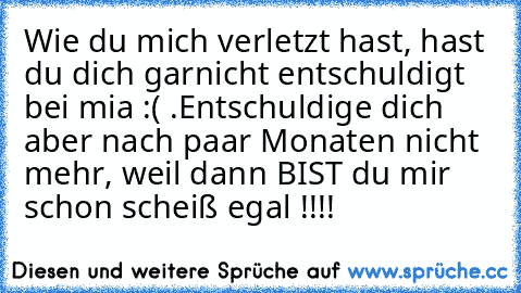 Wie du mich verletzt hast, hast du dich garnicht entschuldigt bei mia :( .Entschuldige dich aber nach paar Monaten nicht mehr, weil dann BIST du mir schon scheiß egal !!!!