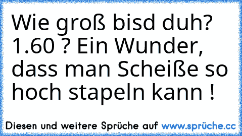 Wie groß bisd duh? 1.60 ? Ein Wunder, dass man Scheiße so hoch stapeln kann !