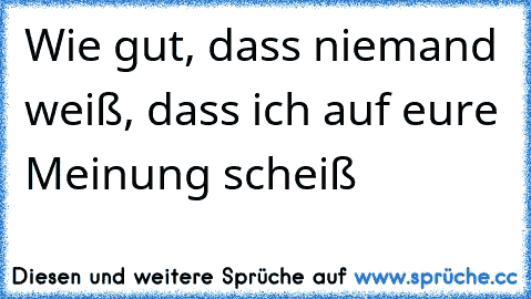 Wie gut, dass niemand weiß, dass ich auf eure Meinung scheiß