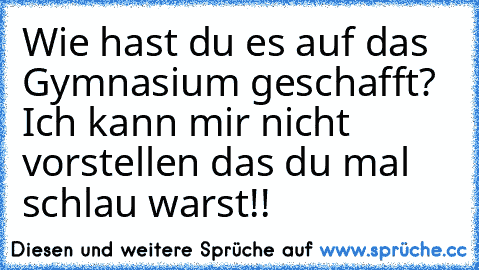 Wie hast du es auf das Gymnasium geschafft? Ich kann mir nicht vorstellen das du mal schlau warst!!