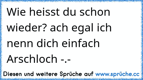 Wie heisst du schon wieder? ach egal ich nenn dich einfach Arschloch -.-