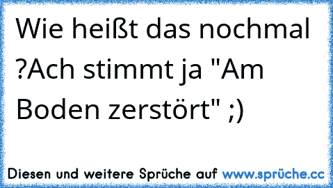 Wie heißt das nochmal ?
Ach stimmt ja "Am Boden zerstört" ;)