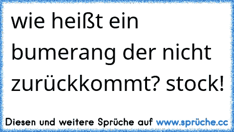 wie heißt ein bumerang der nicht zurückkommt? stock!