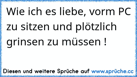 Wie ich es liebe, vorm PC zu sitzen und plötzlich grinsen zu müssen ! ♥