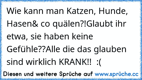 Wie kann man Katzen, Hunde, Hasen& co quälen?!
Glaubt ihr etwa, sie haben keine Gefühle??
Alle die das glauben sind wirklich KRANK!!  :(