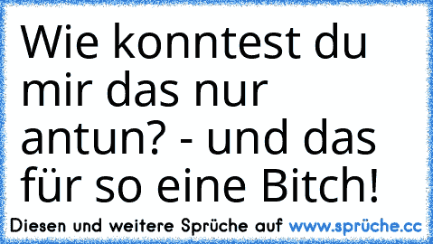 Wie konntest du mir das nur antun? - und das für so eine Bitch! 