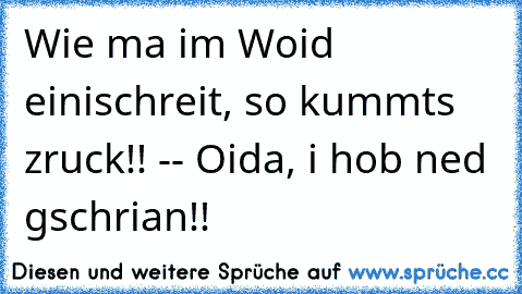 Wie ma im Woid einischreit, so kummts zruck!! -- Oida, i hob ned gschrian!!