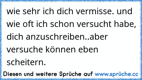 wie sehr ich dich vermisse. und wie oft ich schon versucht habe, dich anzuschreiben..aber versuche können eben scheitern.