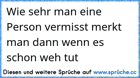 Wie sehr man eine Person vermisst merkt man dann wenn es schon weh tut 