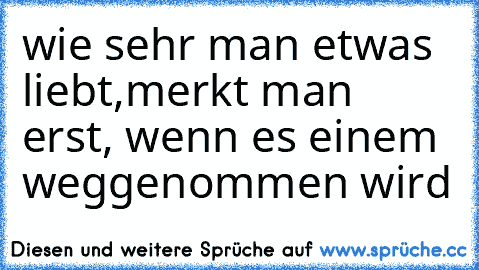 wie sehr man etwas liebt,
merkt man erst,
 wenn es einem weggenommen wird