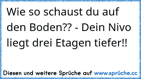 Wie so schaust du auf den Boden?? - Dein Nivo liegt drei Etagen tiefer!!