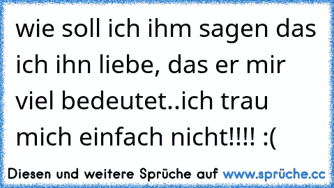 wie soll ich ihm sagen das ich ihn liebe, das er mir viel bedeutet..ich trau mich einfach nicht!!!! :(