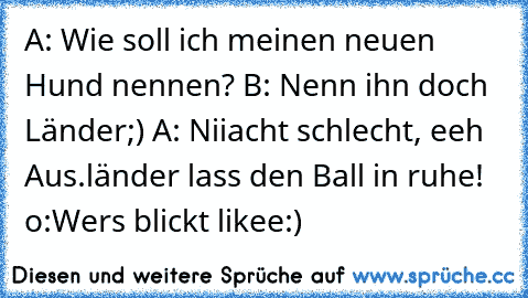 A: Wie soll ich meinen neuen Hund nennen? B: Nenn ihn doch Länder;) A: Niiacht schlecht, eeh Aus.länder lass den Ball in ruhe! o:
Wers blickt likee:)