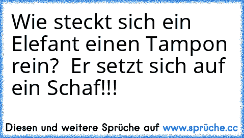 Wie steckt sich ein Elefant einen Tampon rein? � Er setzt sich auf ein Schaf!!!