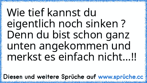 Wie tief kannst du eigentlich noch sinken ? Denn du bist schon ganz unten angekommen und merkst es einfach nicht...!!