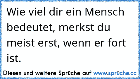 Wie viel dir ein Mensch bedeutet, merkst du meist erst, wenn er fort ist.