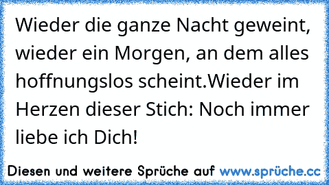 Wieder die ganze Nacht geweint, wieder ein Morgen, an dem alles hoffnungslos scheint.
Wieder im Herzen dieser Stich: Noch immer liebe ich Dich!