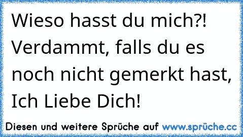 Wieso hasst du mich?! Verdammt, falls du es noch nicht gemerkt hast, Ich Liebe Dich!