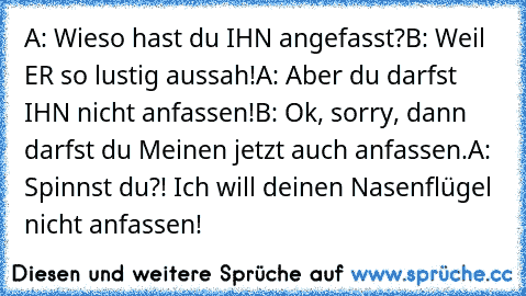 A: Wieso hast du IHN angefasst?
B: Weil ER so lustig aussah!
A: Aber du darfst IHN nicht anfassen!
B: Ok, sorry, dann darfst du Meinen jetzt auch anfassen.
A: Spinnst du?! Ich will deinen Nasenflügel nicht anfassen!