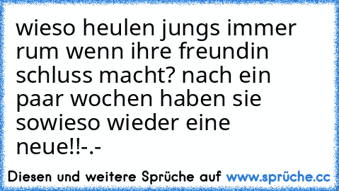 wieso heulen jungs immer rum wenn ihre freundin schluss macht? nach ein paar wochen haben sie sowieso wieder eine neue!!-.-