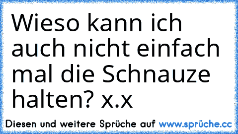 Wieso kann ich auch nicht einfach mal die Schnauze halten?♥ x.x