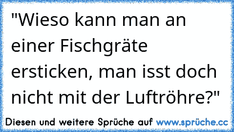 "Wieso kann man an einer Fischgräte ersticken, man isst doch nicht mit der Luftröhre?"