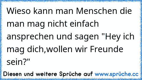 Wieso kann man Menschen die man mag nicht einfach ansprechen und sagen "Hey ich mag dich,wollen wir Freunde sein?"