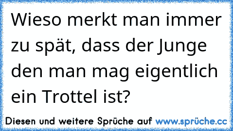 Wieso merkt man immer zu spät, dass der Junge den man mag eigentlich ein Trottel ist? 