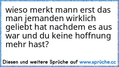 wieso merkt mann erst das man jemanden wirklich geliebt hat nachdem es aus war und du keine hoffnung mehr hast?