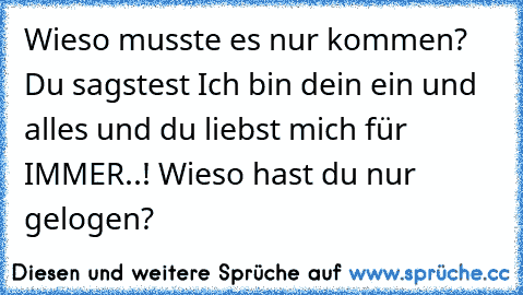 Wieso musste es nur kommen? Du sagstest Ich bin dein ein und alles und du liebst mich für IMMER..! Wieso hast du nur gelogen?