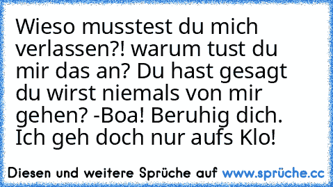 Wieso musstest du mich verlassen?! warum tust du mir das an? Du hast gesagt du wirst niemals von mir gehen?
 -Boa! Beruhig dich. Ich geh doch nur aufs Klo!