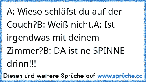 A: Wieso schläfst du auf der Couch?
B: Weiß nicht.
A: Ist irgendwas mit deinem Zimmer?
B: DA ist ne SPINNE drinn!!!