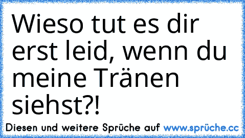 Wieso tut es dir erst leid, wenn du meine Tränen siehst?!