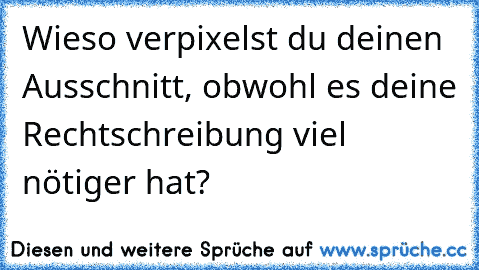 Wieso verpixelst du deinen Ausschnitt, obwohl es deine Rechtschreibung viel nötiger hat?