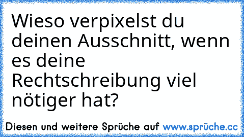 Wieso verpixelst du deinen Ausschnitt, wenn es deine Rechtschreibung viel nötiger hat?