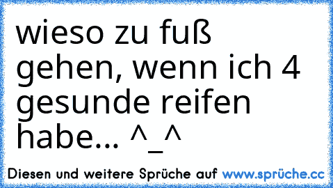 wieso zu fuß gehen, wenn ich 4 gesunde reifen habe... ^_^