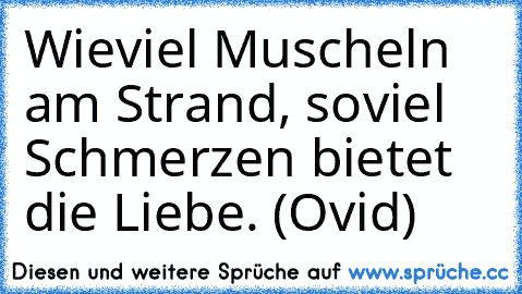 Wieviel Muscheln am Strand, soviel Schmerzen bietet die Liebe. (Ovid)