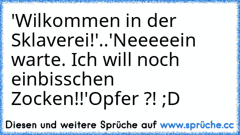 'Wilkommen in der Sklaverei!'
..'Neeeeein warte. Ich will noch einbisschen Zocken!!'
Opfer ?! ;D