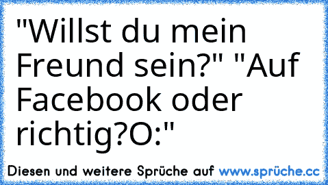 "Willst du mein Freund sein?" "Auf Facebook oder richtig?O:"